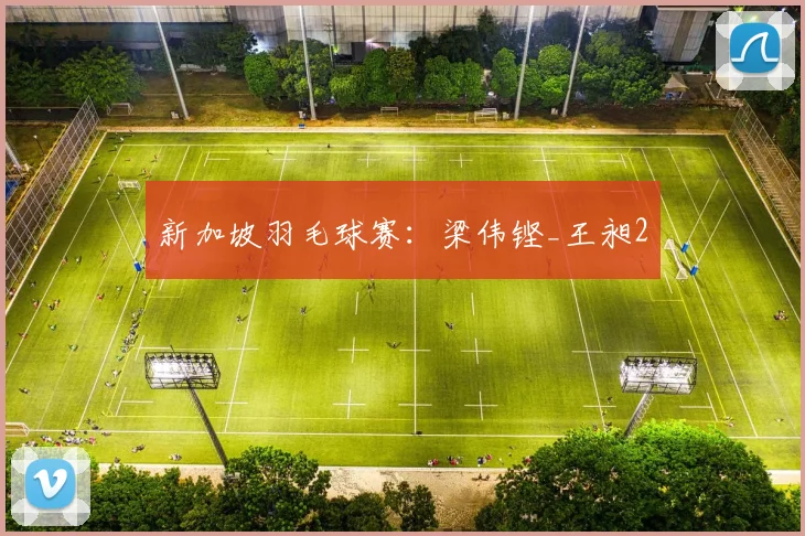 新加坡羽毛球赛：梁伟铿_王昶2